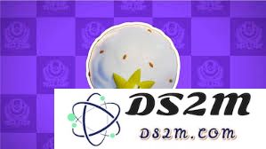 宝可梦大集结白蓬蓬最佳战斗道具选择推荐与装备搭配策略解析