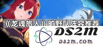 龙魂旅人旷野之灵阵营搭配攻略与建议解析，助你更好地选择合适的阵营组合