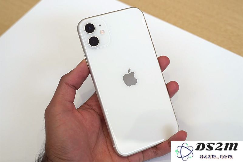苹果 iPhone 11 哪个颜色好看？