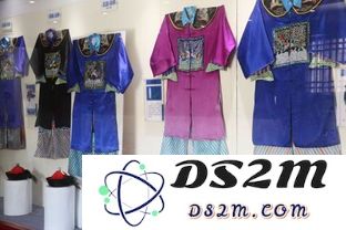 新月同行中官服与B服之间是否存在数据互通的可能性探讨
