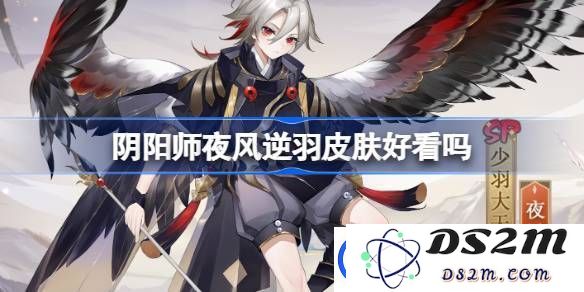 阴阳师夜风逆羽皮肤测评分析-夜风逆羽在游戏中是否值得收藏