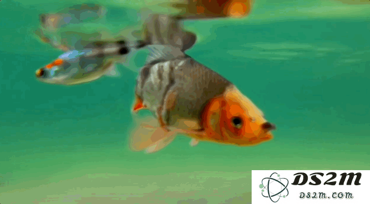 腾讯AI视频生成曝光！与Sora同提示词PK，你来投票