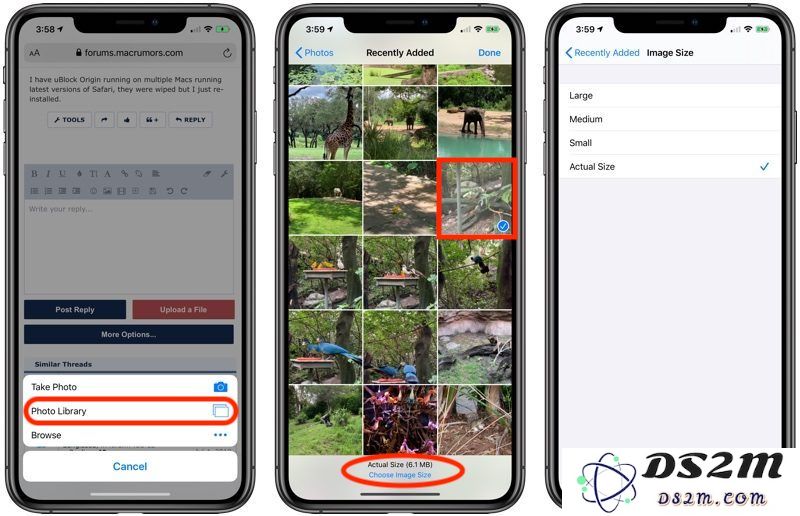 iOS 13 使用指南：在 Safari 浏览器上传图片时如何选择合适的图像尺寸和质量