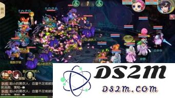 梦想桃源中的梦幻鲸灵体验究竟有何独特魅力与感受