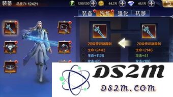 妖灵战姬最佳装备选择与搭配技巧详细攻略