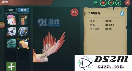 创造与魔法鹦鹉饲料怎么做 创造与魔法鹦鹉饲料配方介绍
