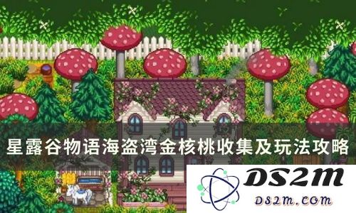 星露谷物语玩家如何顺利到达神秘的海盗湾区域
