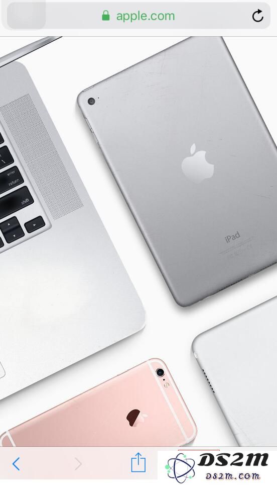 在 iPhone 上使用 Safari 浏览器的 8 个技巧