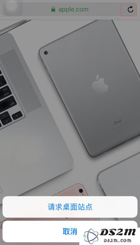 在 iPhone 上使用 Safari 浏览器的 8 个技巧