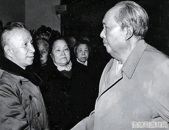 统治战场之王暗影笼罩大陆