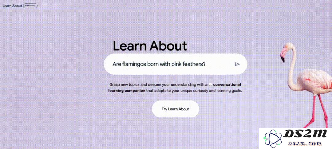 谷歌推出新型教育AI工具“Learn About”，通过多种模态进行逐步引导学习