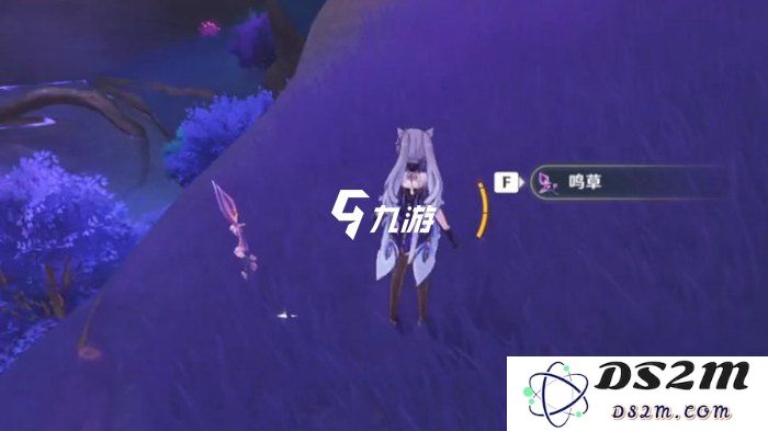 在原神的世界中鸣草的位置及获取方法详细介绍