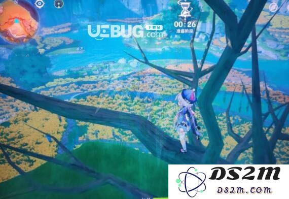 原神马尾在哪些地区的采集数量最多，探讨各地采集原神马尾的行业动态与趋势