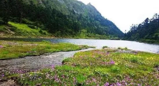 秘境宝藏启程狂欢限时特权