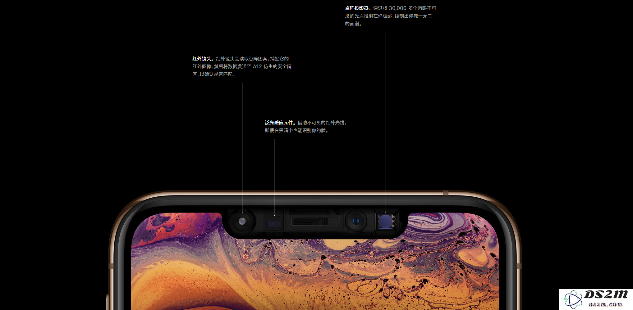 苹果推出中国特色版 iPhone 是怎么回事？发布的可能性大吗？