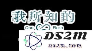 我所了解的独一无二的魔法愚者与爱情之间的关系与故事