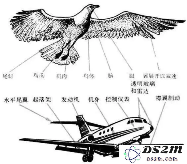 轻松搭建AI版“谁是卧底”游戏，muAgent框架让知识图谱秒变编排引擎，支持复杂推理+在线协同
