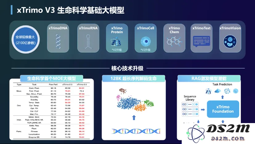 大模型重构生命科学！最大基础模型面世，解锁DNA超长序列，参数规模达2100亿