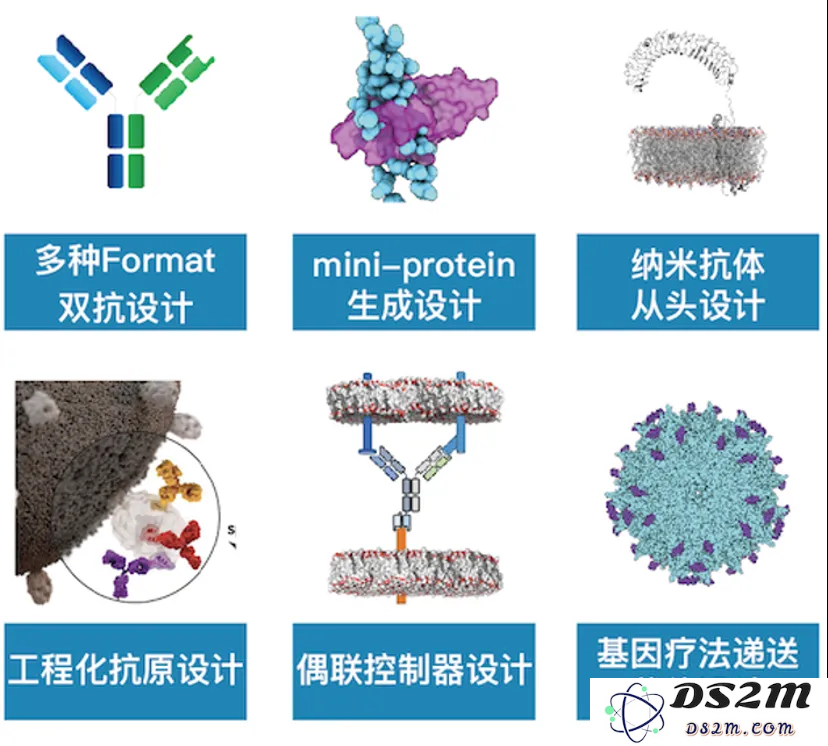 大模型重构生命科学！最大基础模型面世，解锁DNA超长序列，参数规模达2100亿