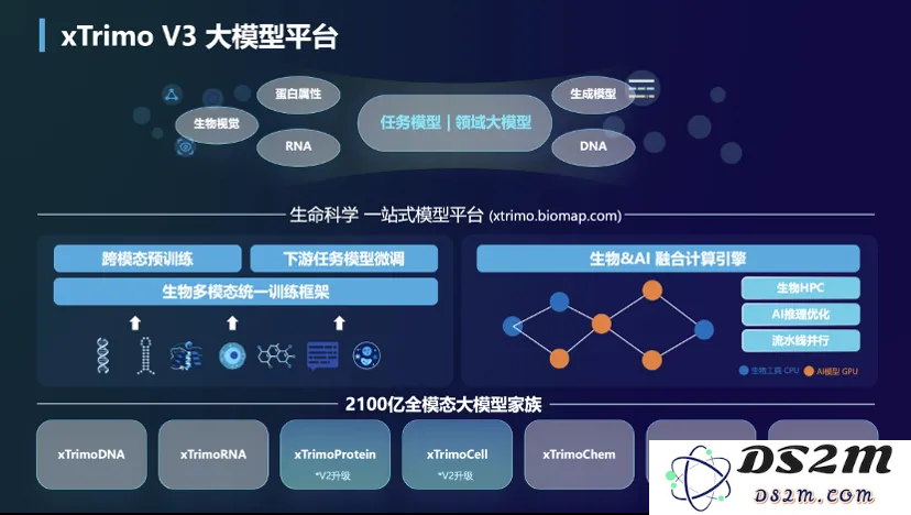 大模型重构生命科学！最大基础模型面世，解锁DNA超长序列，参数规模达2100亿