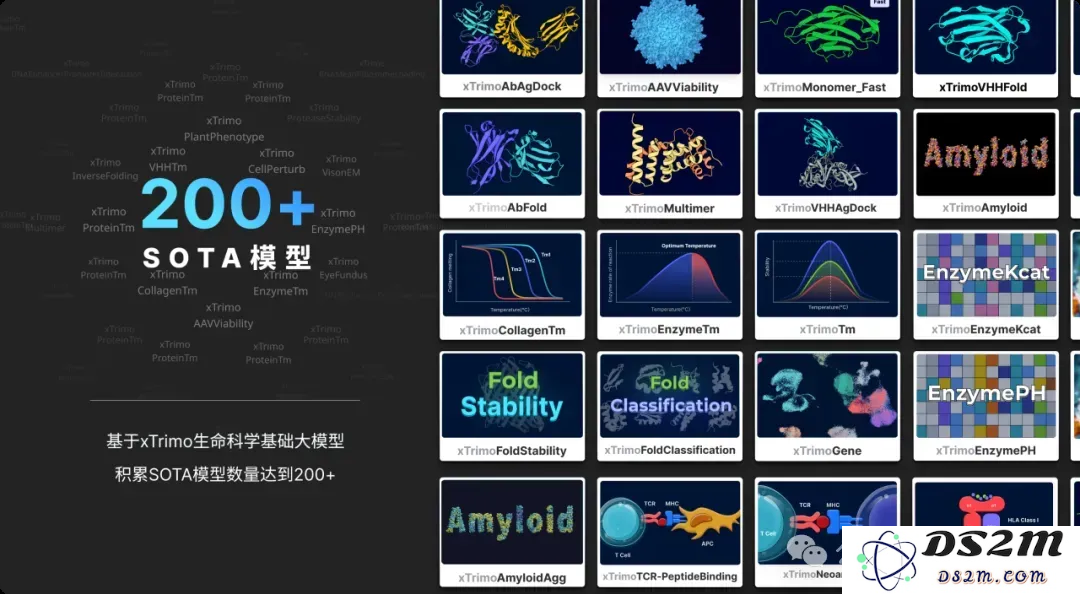 大模型重构生命科学！最大基础模型面世，解锁DNA超长序列，参数规模达2100亿