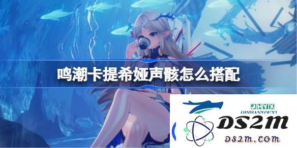 鸣潮卡提希娅声骸最佳搭配推荐与玩法分析-如何有效利用鸣潮卡提希娅声骸提升游戏体验