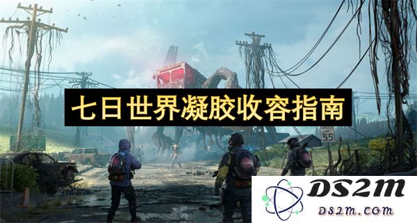 七日世界凝胶收容手册：全面指导与实用建议以应对各种挑战和情境