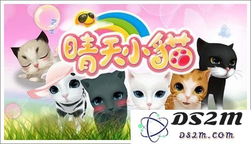 晴天小猫怎么结婚攻略 猫咪结婚条件详解