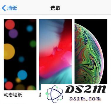 iPhone 拍照技巧：运用“实况照片”功能抓拍最美好的画面