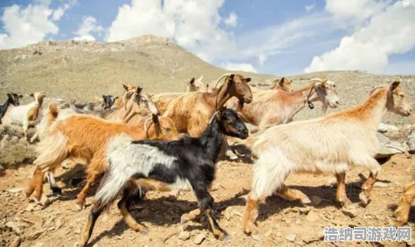 独家全球首发激战一触即发