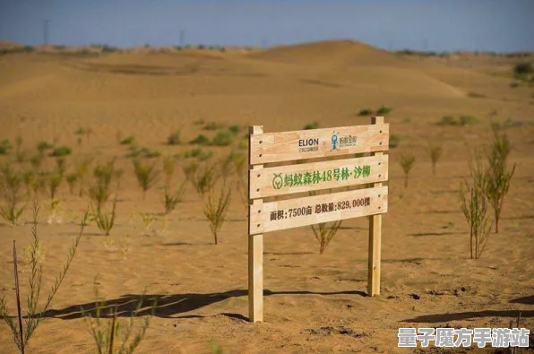 2025年全球首发深度解析»蚂蚁森林服务器架构玩家体验与实测报告