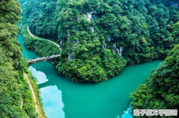2025游戏全球首发丨蚂蚁森林如何实现服务器架构？开发者专访