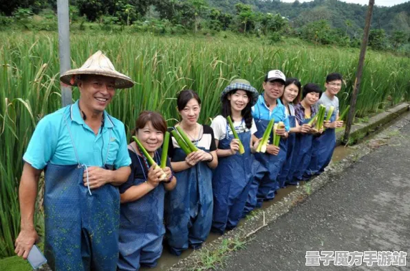 《农场小镇》2025硬件革命！触觉反馈优化硬件兼容报告