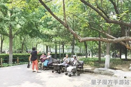 2025最新动态»蚂蚁森林配置需求公布，深度技术解析速看！