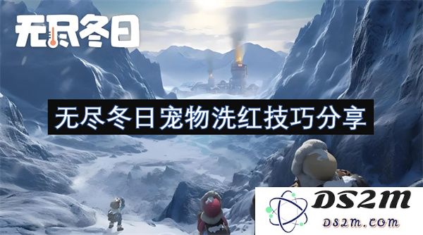 无尽寒冬中的宠物洗澡技巧与红色毛发护理分享