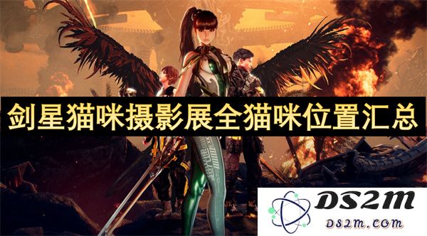 剑星猫咪摄影展参与猫咪的所有位置及详细分布汇总