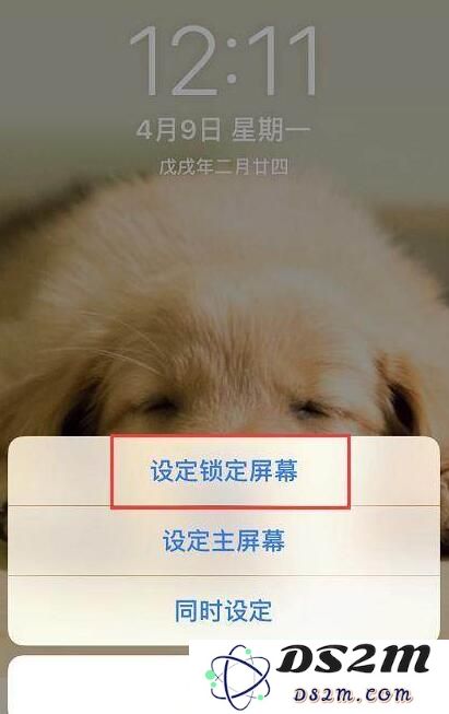 使用“实况照片”打造 iPhone 锁屏动态壁纸教程