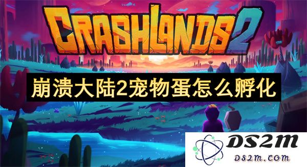 崩溃大陆2中的宠物蛋该如何进行孵化，详细步骤与技巧大揭秘