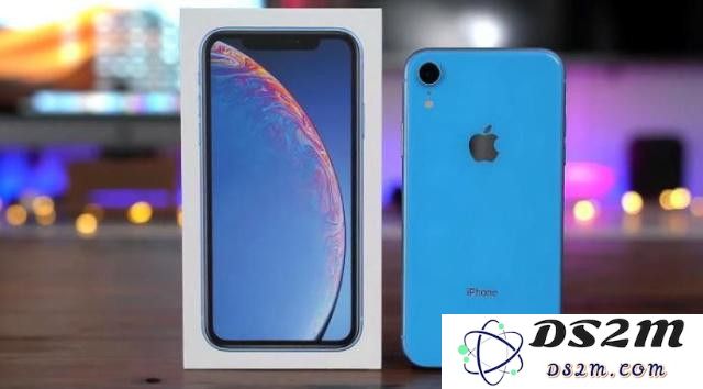 为何 iPhone XR 在市场上销量如此优秀？探讨其受欢迎的原因与消费者的偏好