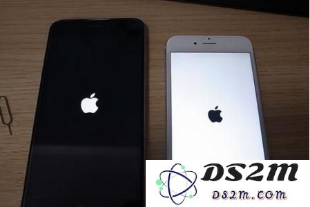 如果苹果iPhone手机意外黑屏或死机该如何急救和恢复正常使用