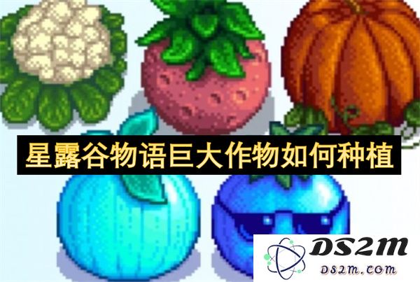 如何在星露谷物语中成功种植并收获巨大作物的技巧和方法