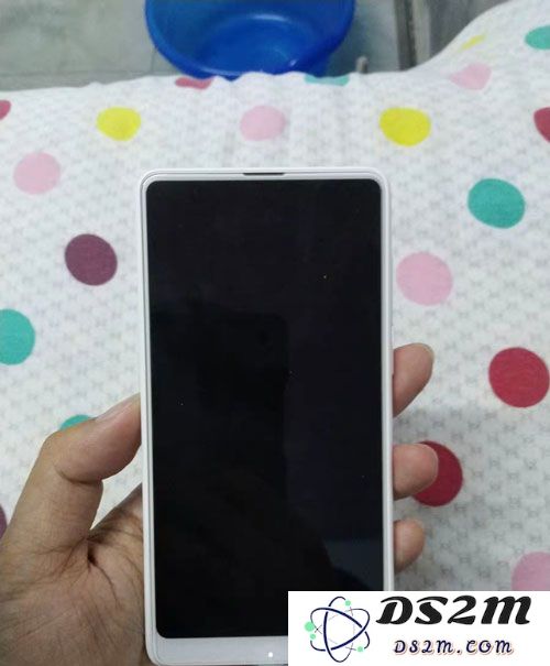 为何白色屏幕面板的 iPhone 越来越罕见，这一变化背后的原因是什么？