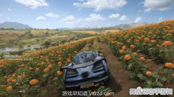 《极限竞速：地平线5》跨平台存档技巧解析-暑期热门项目-Xbox Series X-策略与速通攻略分享