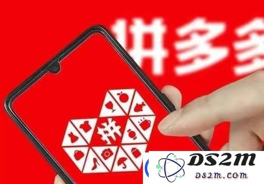 拼多多在2024年的总营收达到3938.361亿元-在这个过程中你为它贡献了多少力量