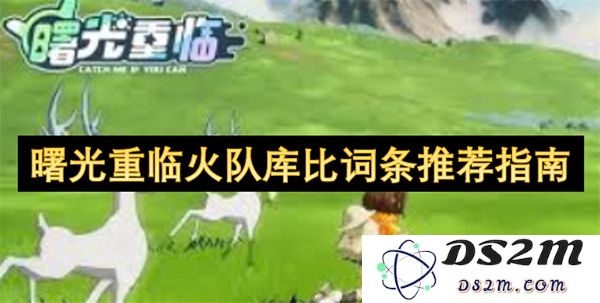 重返巅峰：火队库比词条推荐指南的全新曙光与策略分享