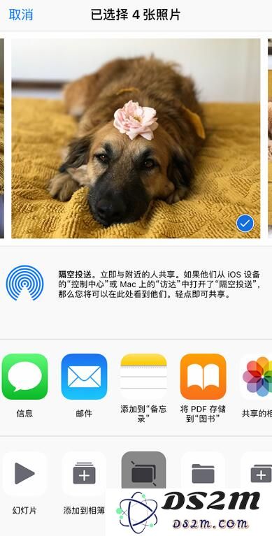 如何找回 iPhone 上丢失的照片？