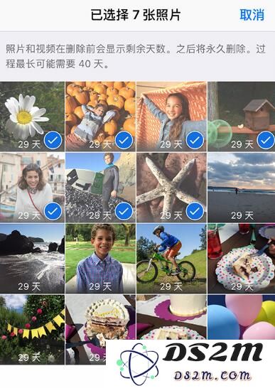 如何在 iPhone 中有效恢复丢失的照片，确保珍贵回忆不再遗漏
