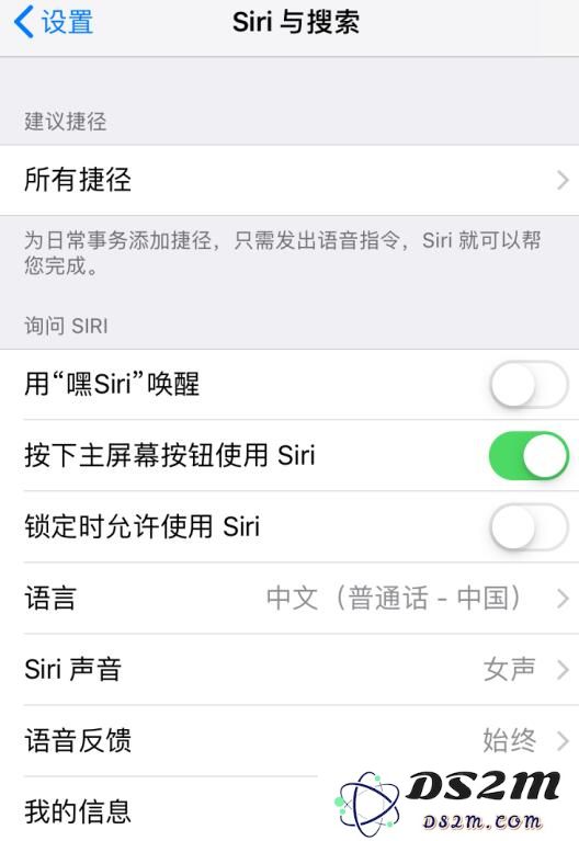 遇到 iPhone XR 无法正常使用 Siri 的问题该如何解决？