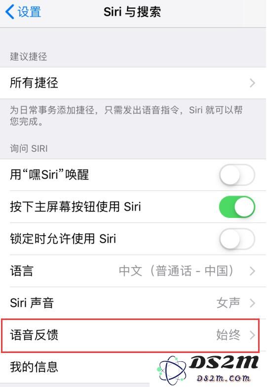 在 iPhone XR 上无法正常使用 Siri 怎么办？