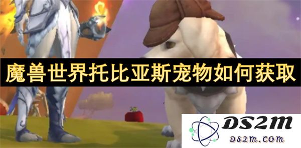 揭秘魔兽世界中获得托比亚斯宠物的最佳途径与技巧